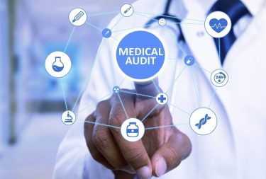 Comprehensive Healthcare Audit Solutions