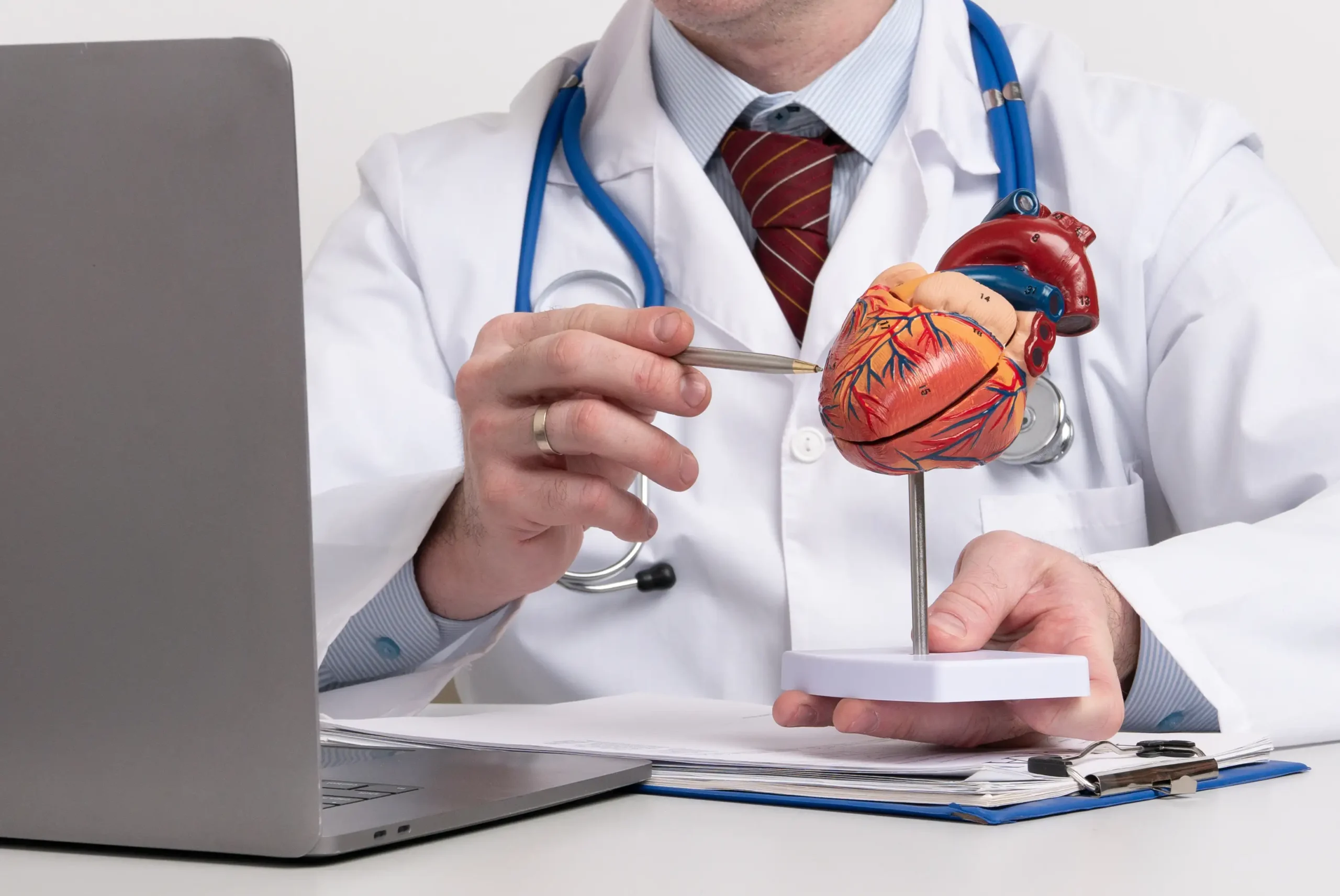 cardiologist-uses-heart-model-demonstrate-anatomy-function-treatment-cardiovascular-diseases.jpg